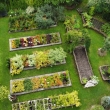 Twój Ogród - zdjęcia z drona